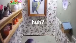 Amazing video