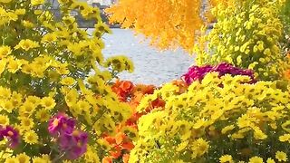 _nature _travel _scenery _landscape