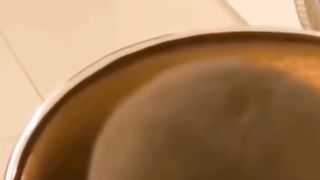 cute cat