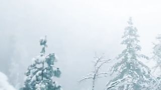 Heavy Snowfall Galiyat Road Today Beautiful View