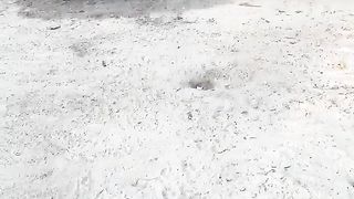 1 VS 9 fight ????