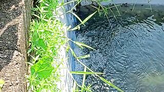 Waterfall in pool