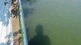 Walking around pool glowfish