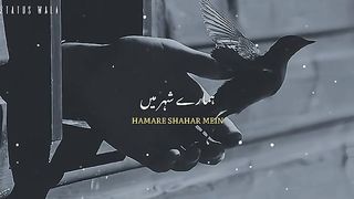 Razzaq5 -khareed kar Jo Parinde udaye Jaate Hain Urdu Poetry Whatsapp Status. plz subscribe and watch my video