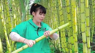 Amazing video