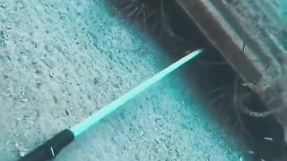 catch lobster