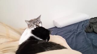 Wait a sec... did you just