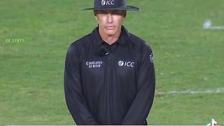 Cricket