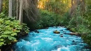 Amazing video