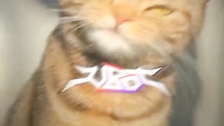 Firts video