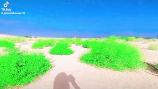 Fantastic video