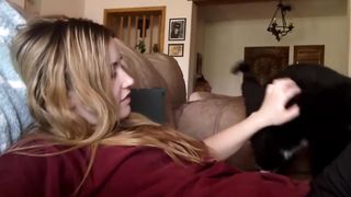 Cat politely asking to get petted
