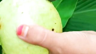 Buah orang kaya