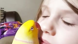 adorably-cute-birds