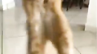 Конфеты для кота!