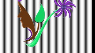 GRAPHICS VIDEO