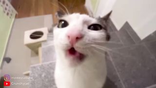 Luna crunching