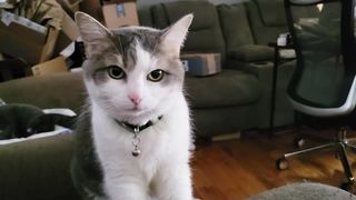 my arms in her way