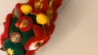 funny cats barongsai