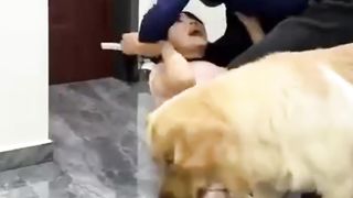 A real guard and friend