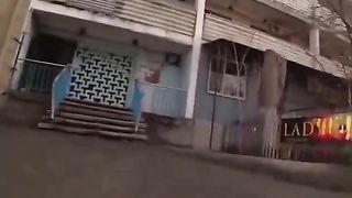 Food delivery to street cats