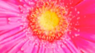 صدا  نہ ماں پیے حسن جوانی صدا نہ موج بہاراں