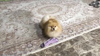 Команда «спать»