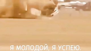Квн борцы Подпишись!