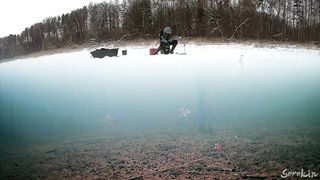 ОПУСТИЛ КАМЕРУ В ЛОГОВО ЩУК! Рыбалка на Жерлицы