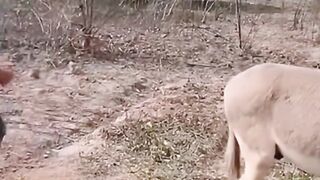 Chinese funny ???????????? | Funny viral video | best funny tiktok and during school