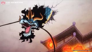 The Best One Piece Fights!