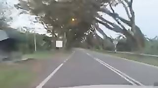 Driving view