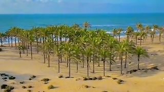 بحر العريش تسلم وتعيش