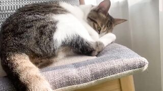 午后阳光
