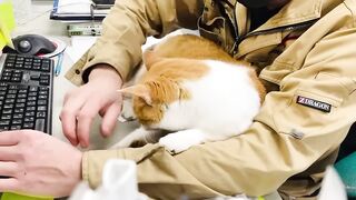 残業を強要する管理職