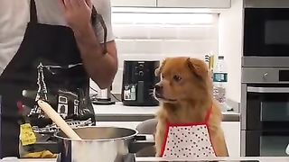 Готовлю