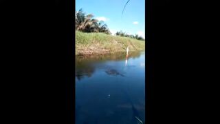 mancing seru di kali perkebunan