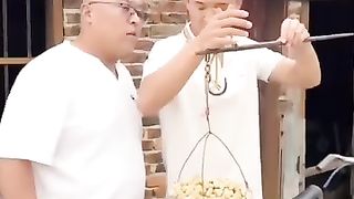 funny videos of Pja