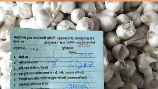 आज का लहसुन मंडी भाव 8 फरवरी 2024