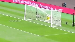 When The Manager, Fan, Dog Scores a Goal