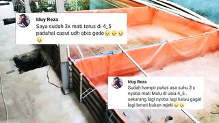 3X GAGAL pembenihan lele❗Fahami kondisi alam, jangan ada target