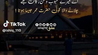 pakistani love