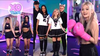XO Team (xoteam)  TikTok Top