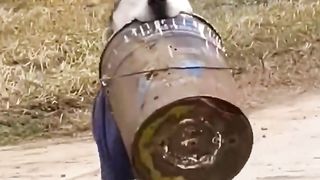 This dog has the cutest hobby ever