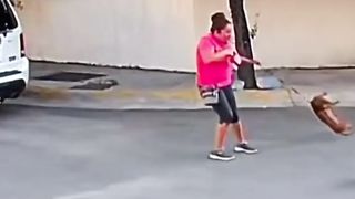 funny videos of Pja