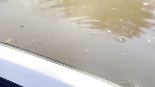Anak kecil Belajar Memancing Malah Nangis