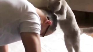 The cat trains his master