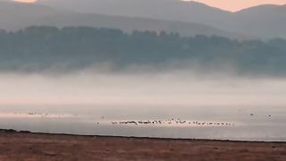 МОЯТА ЕКСКУРЗИЯ В РОДОПИТЕ