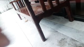 Feeding Straydogs