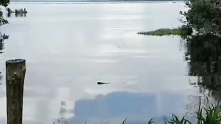 TSUNAMI